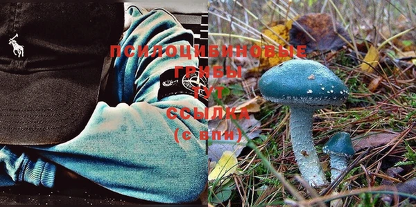 гашик Абдулино