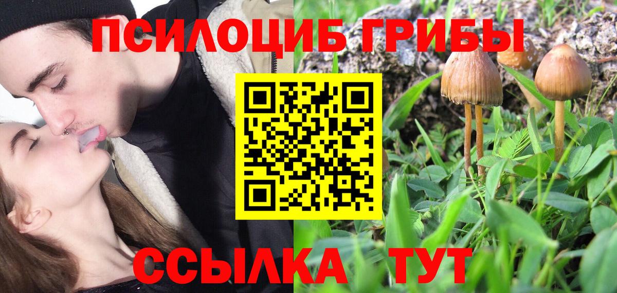 Ярославль  Псилоцибиновые грибы мухоморы  Вход с VPN 