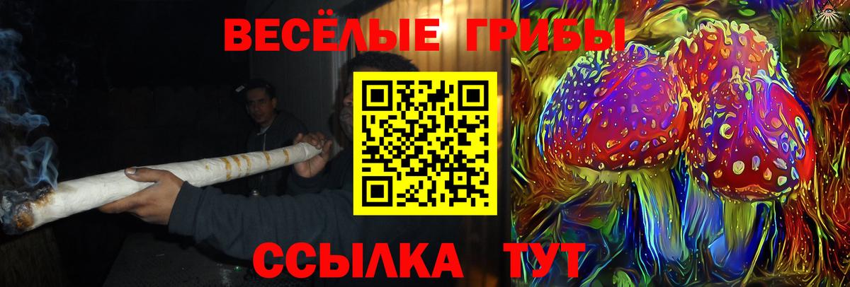 Псилоцибиновые грибы Magic Shrooms Ярославль